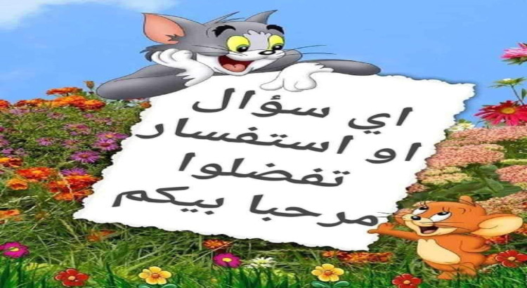 تصاميم بالايعر التي يريدها الزبون وتكون جاهزة في وقت وجيز
